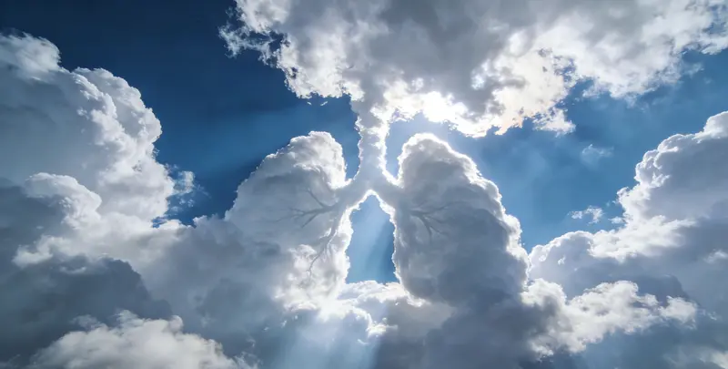 葫芦岛肺癌13基因突变检测（组织）图片1