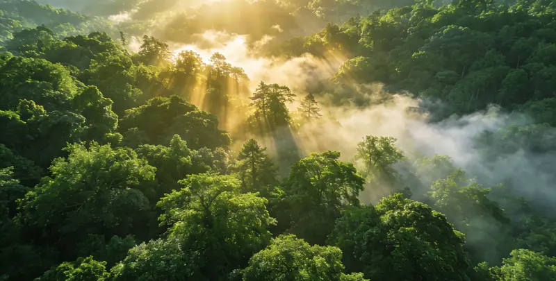 葫芦岛肺癌120基因ctDNA突变检测(血液）图片1